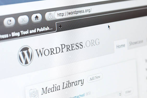 WordPress SEO Consultant